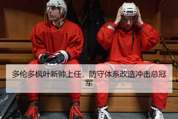 duo-lun-duo-feng-ye-xin-shuai-shang-ren-fang-shou-ti-xi-gai-zao-chong-ji-zong-guan-jun-3-493.jpg