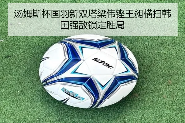 tang-mu-si-bei-guo-yu-xin-shuang-ta-liang-wei-keng-wang-chang-heng-sao-han-guo-qiang-di-suo-ding-sheng-ju-2-453.jpg